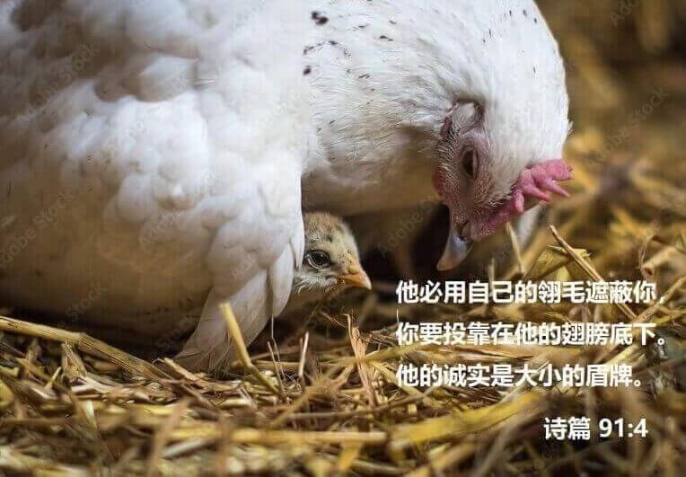 , 5 月 2022 每日灵修, Christ Unite